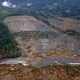 Upper part of the Oso, Washington landslide site, photographed April 8, 2014 (see small house just inside treeline at lower left for scale).